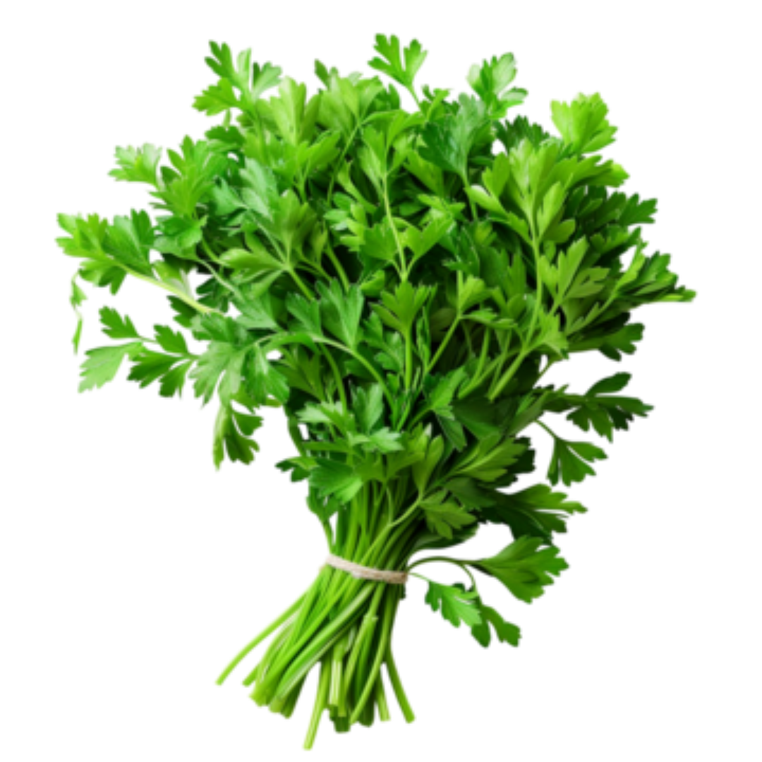 AAA FRESH PARSLEY